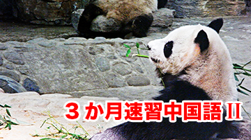 F00000101_card