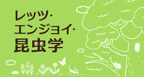 g0203_card