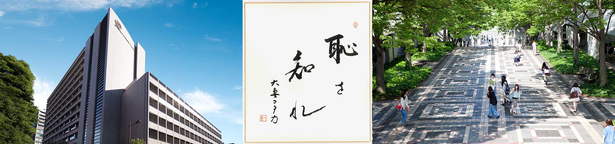 header_otsuma_en