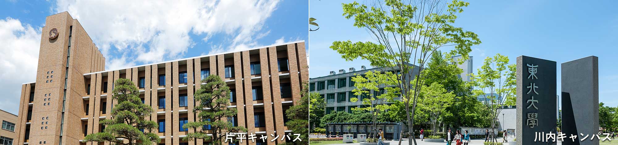 header_tohoku_univ