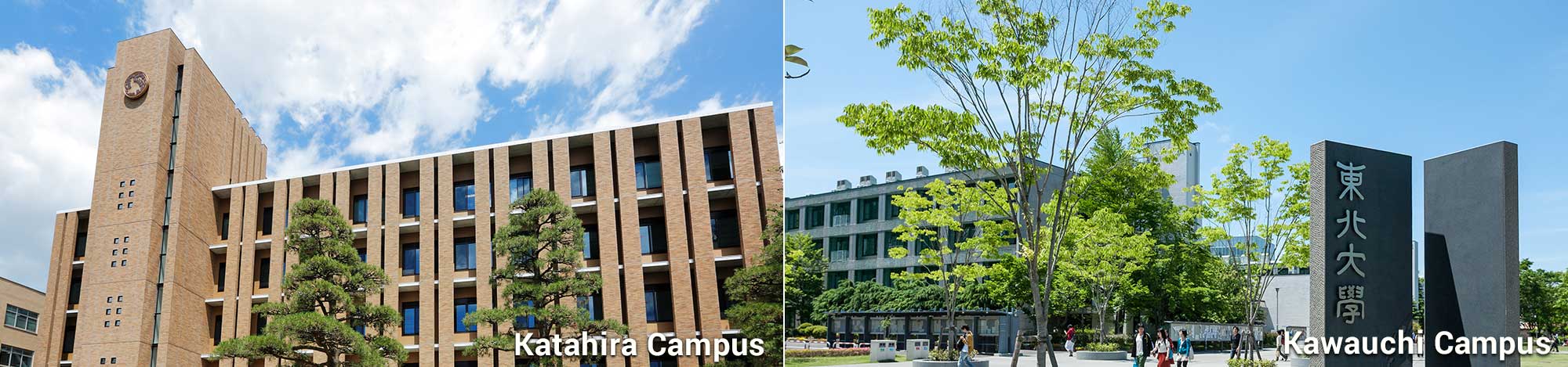 header_tohoku_univ_en